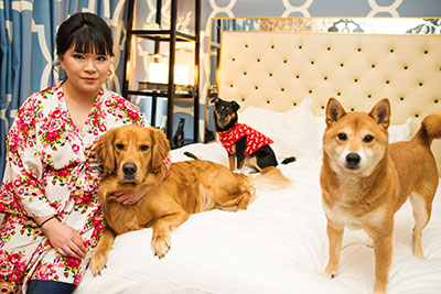 Bride with 3 dogs on hotel bed
