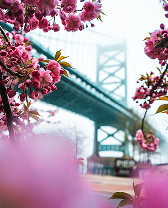 Bridge in Philly