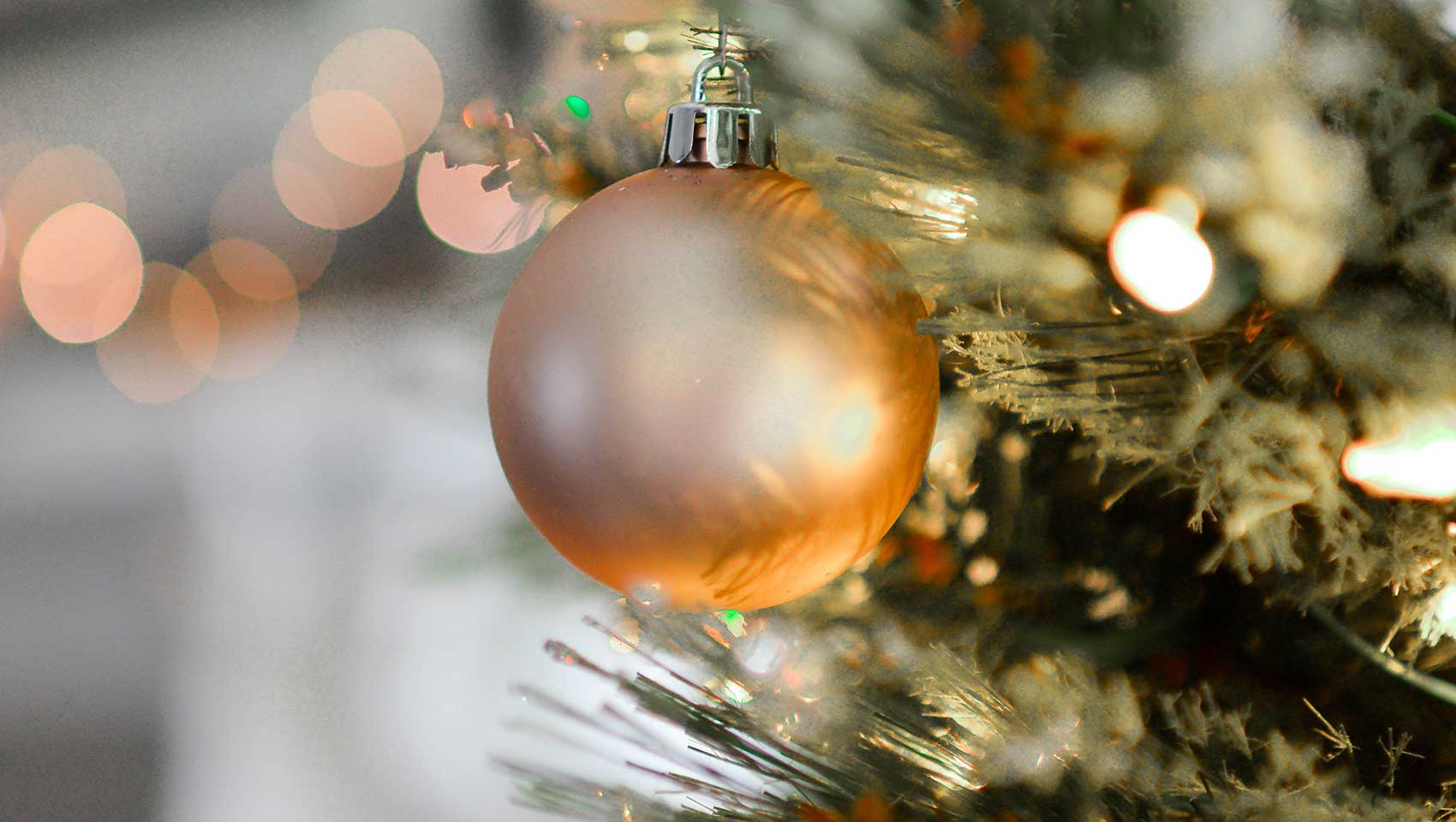 Gold ornament on pine tree