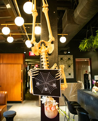 Hanging Skeleton
