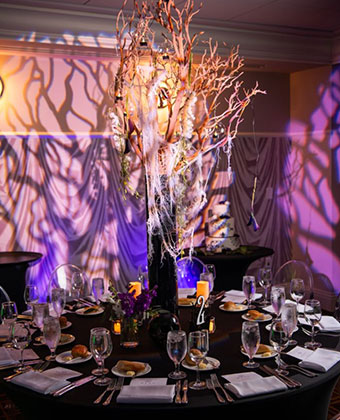 Table Decor