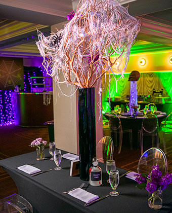 Party Decorations