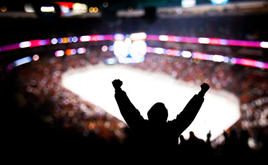 fans at a hockey game